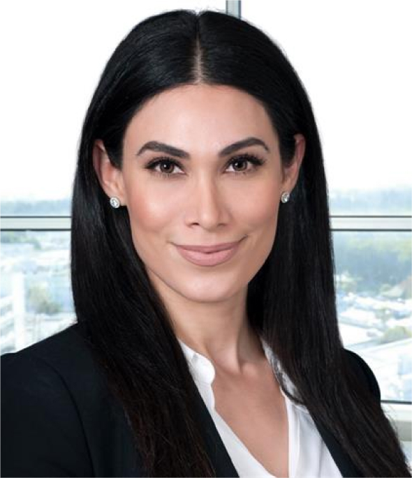 Ellin Mardirosian | Top Lawyer in California for Personal Injury